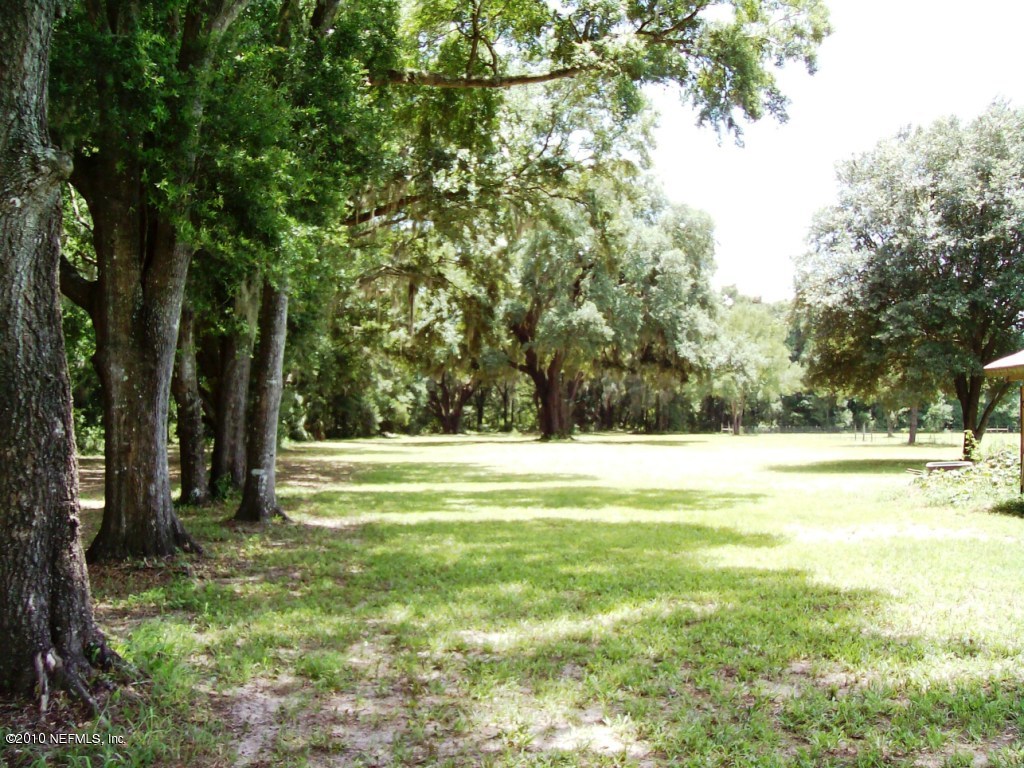 248 Tanner Road Florahome, FL 32140 - Photo 15 of 28 Pasture