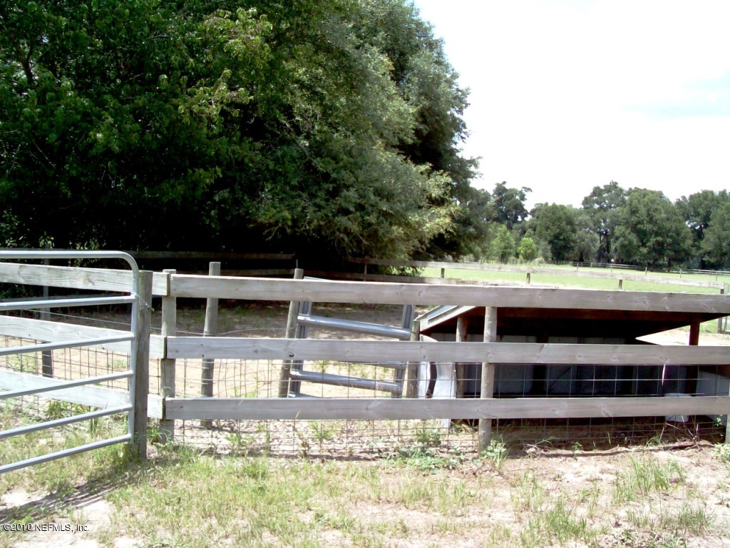 248 Tanner Road Florahome, FL 32140 - Photo 18 of 28 Paddocks