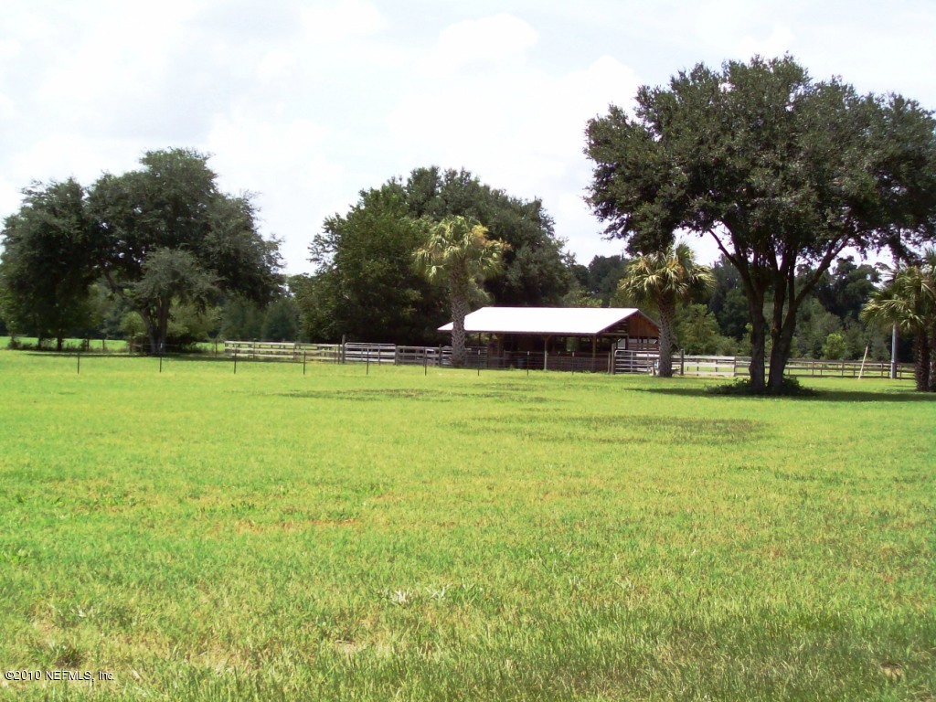 248 Tanner Road Florahome, FL 32140 - Photo 25 of 28 Pasture Toward Barn