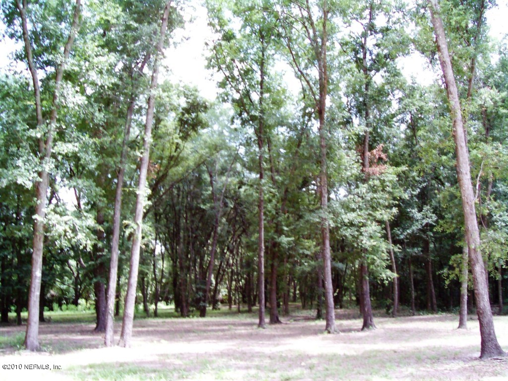 248 Tanner Road Florahome, FL 32140 - Photo 26 of 28 Ride or Hunt