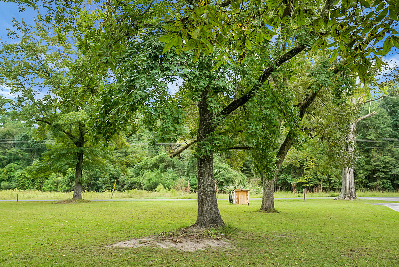 978 Independent School Road Reevesville, SC 29471 - Photo 7 of 65 DSC01036