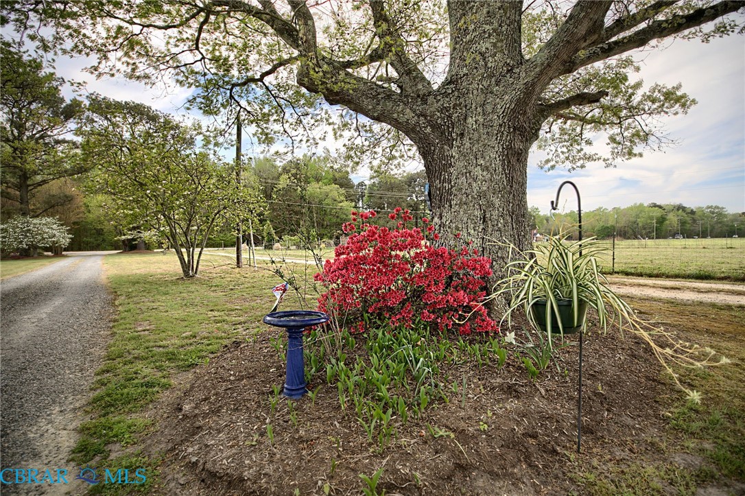1783 Buckley Hall Road Dutton, VA 23050 - Photo 32 of 48 Gallery Image 32