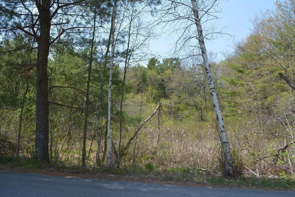 20 Wildmeadow Road Boxford, MA 01921 - Photo 13 of 40 Gallery Image 13
