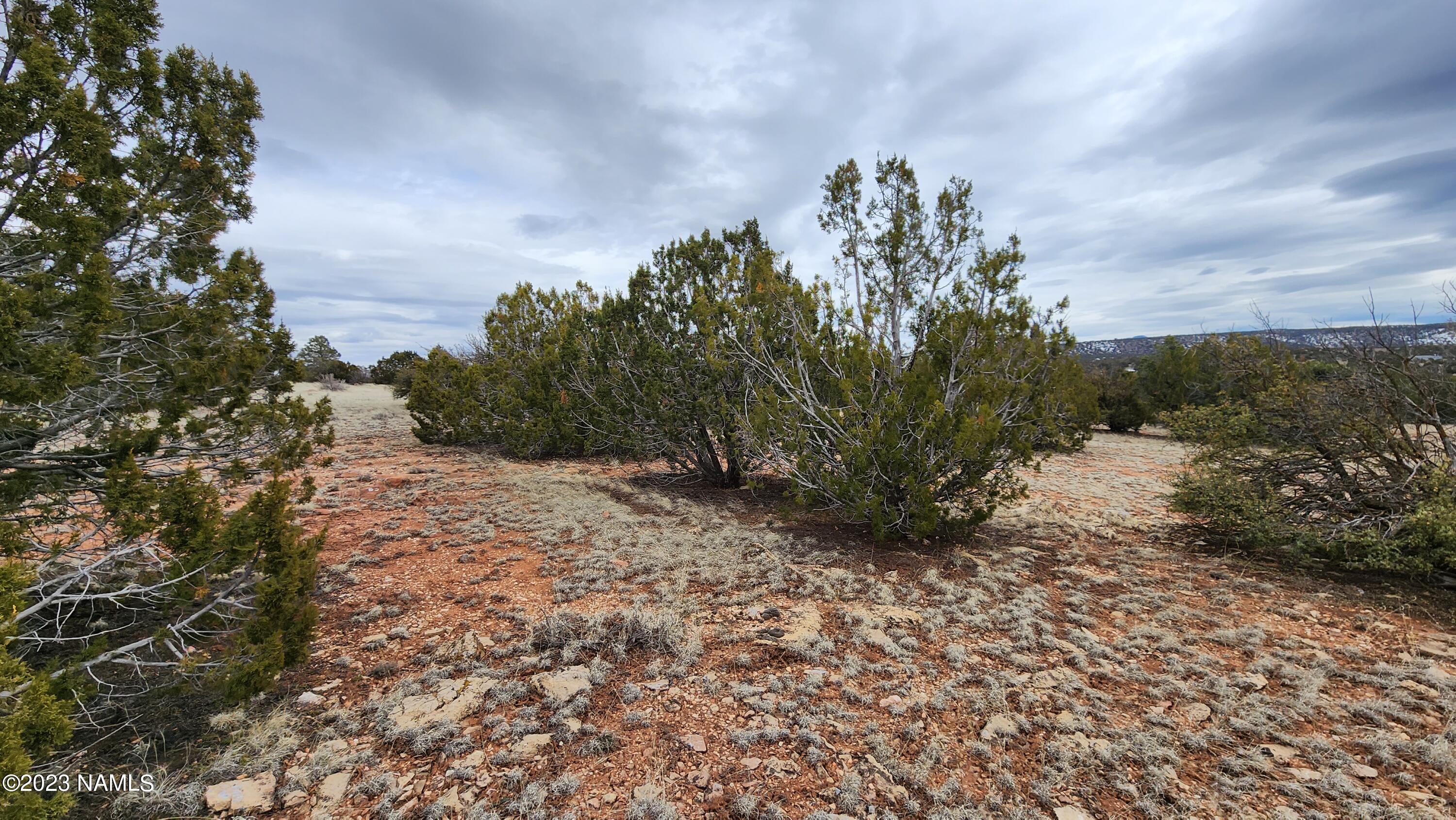 9401 Latigo Road, Unit 252 Williams, AZ 86046 - Photo 9 of 18 20230314_133342