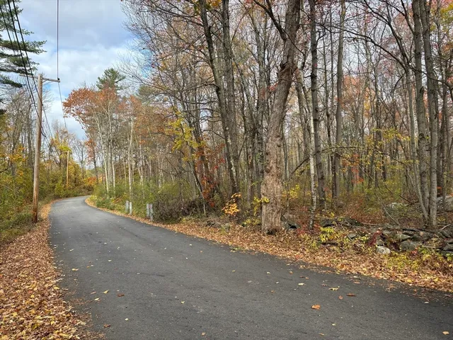 a view of a yard with trees
