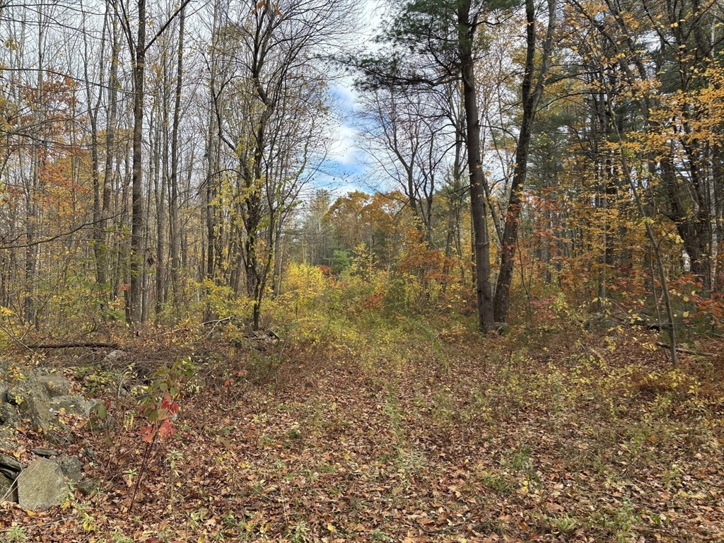 Lot 3 Clapp Road Hardwick, MA 01037 - Photo 4 of 7 a view of a yard with trees