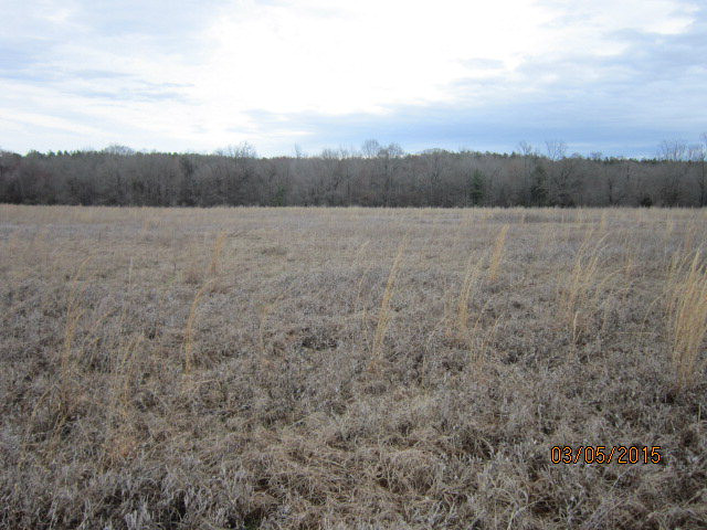199 Mitchell Road Warrenton, GA 30828 - Photo 1 of 1 Main View