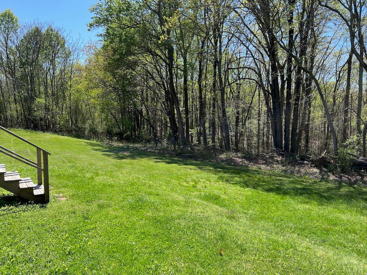 6238 Laurel Road Shipman, VA 22971 - Photo 11 of 11 a view of backyard with green space