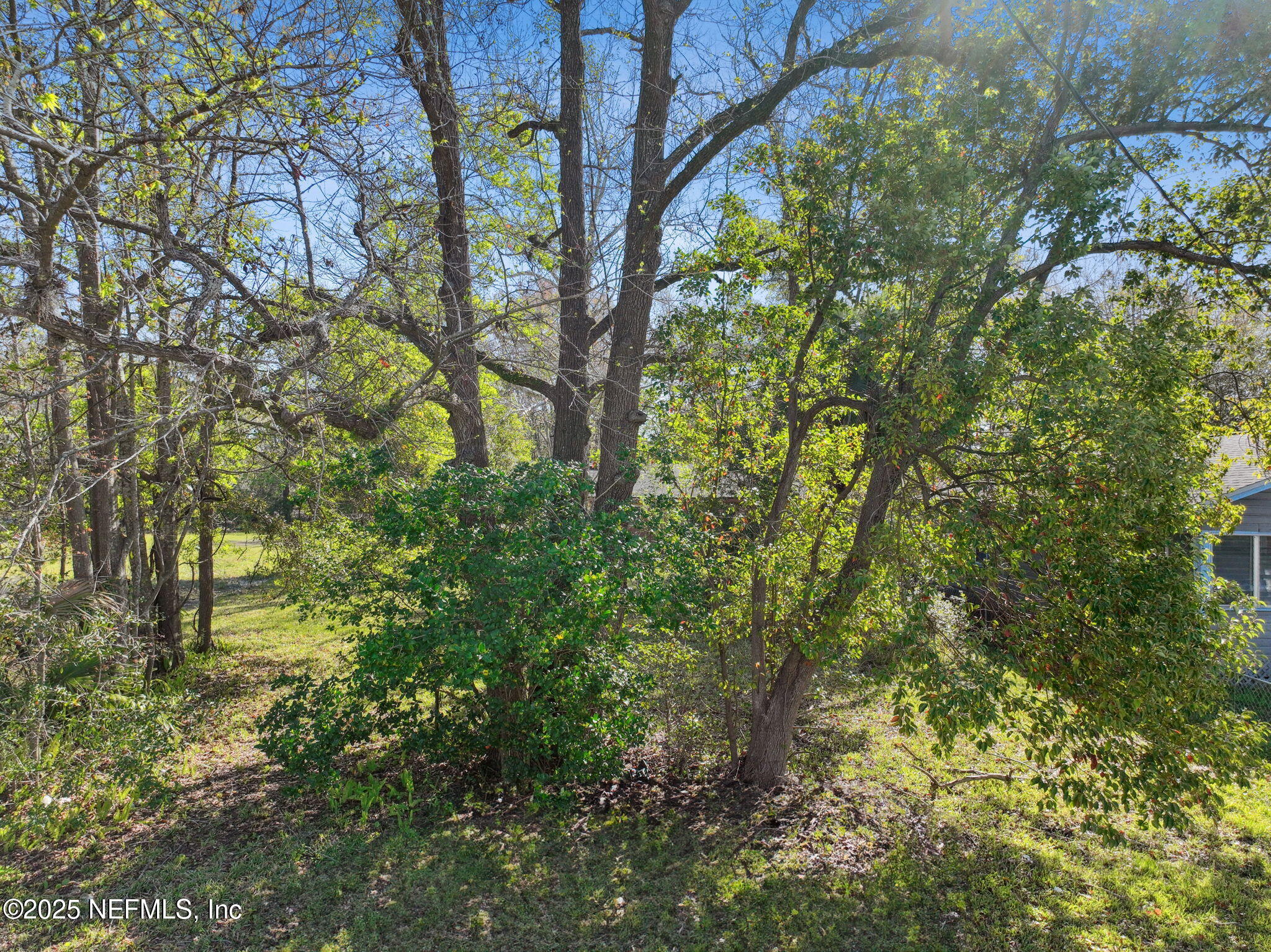0 Line Street Jacksonville, FL 32209 - Photo 14 of 21 14-web-or-mls-1111 Line St-9