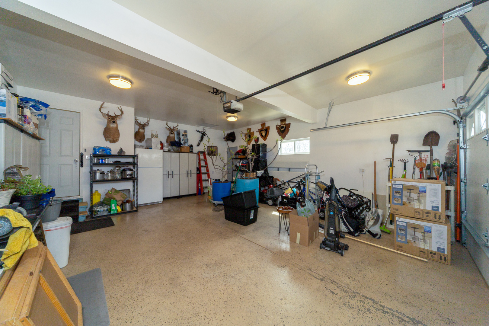 1201 Scarlet Drive Addison, IL 60101 - Photo 16 of 19