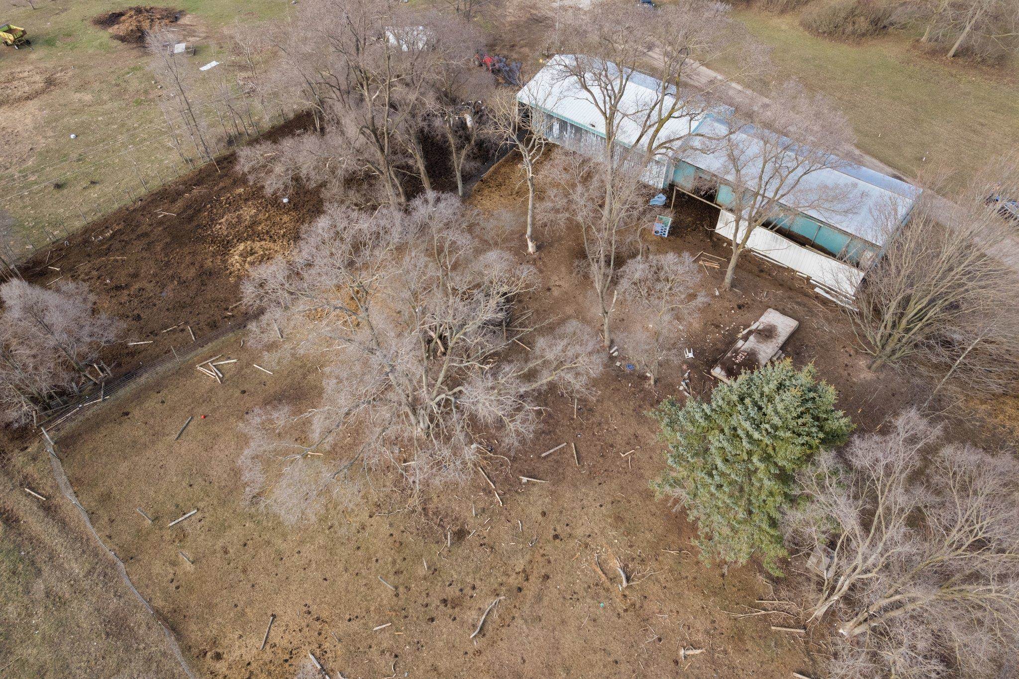 4809 Grace Road Benzonia, MI 49616 - Photo 54 of 57