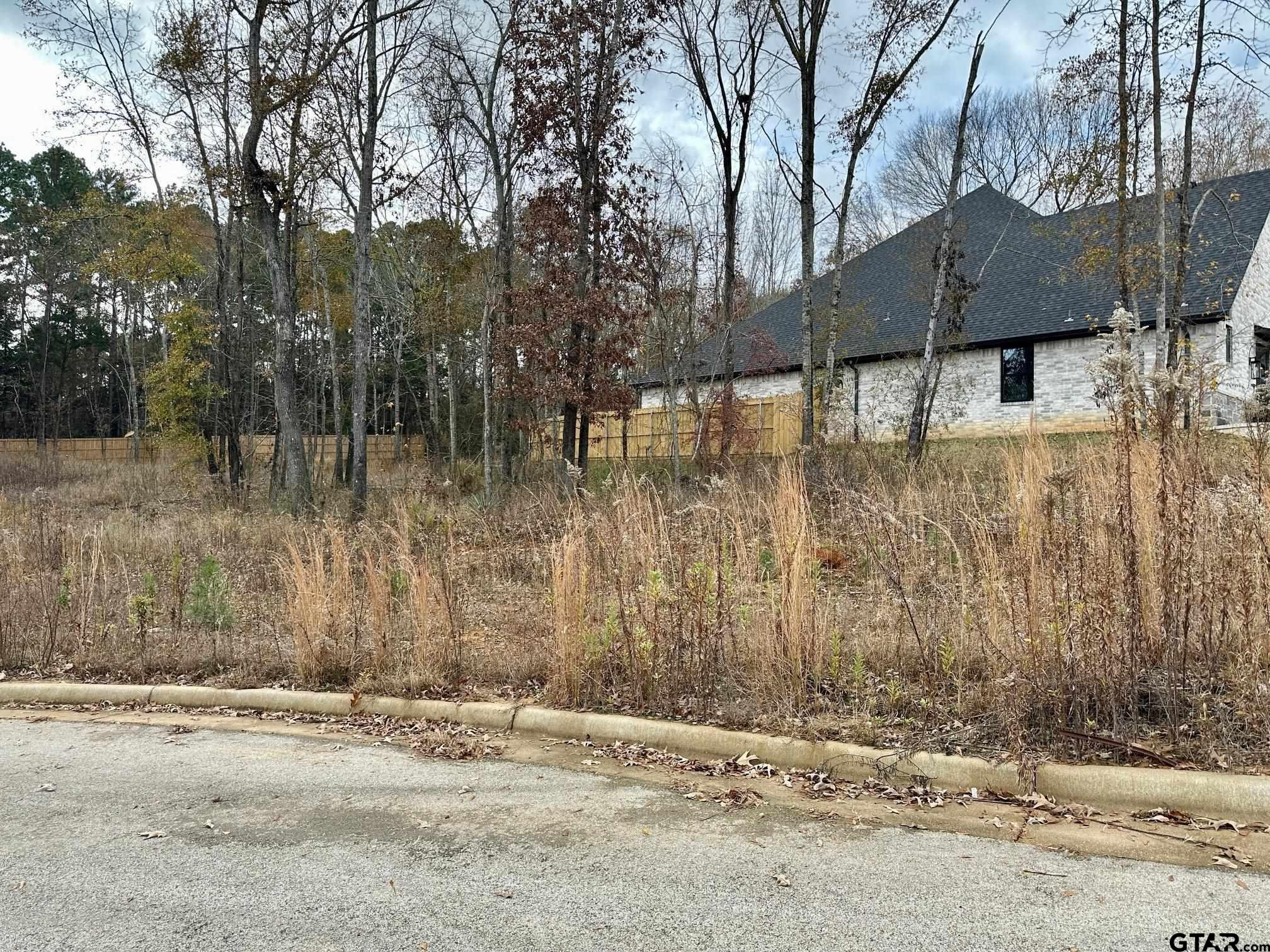 9291 Caddo Rdg Cove Tyler, TX 75703 - Photo 5 of 13 a backyard of a house with parked trees