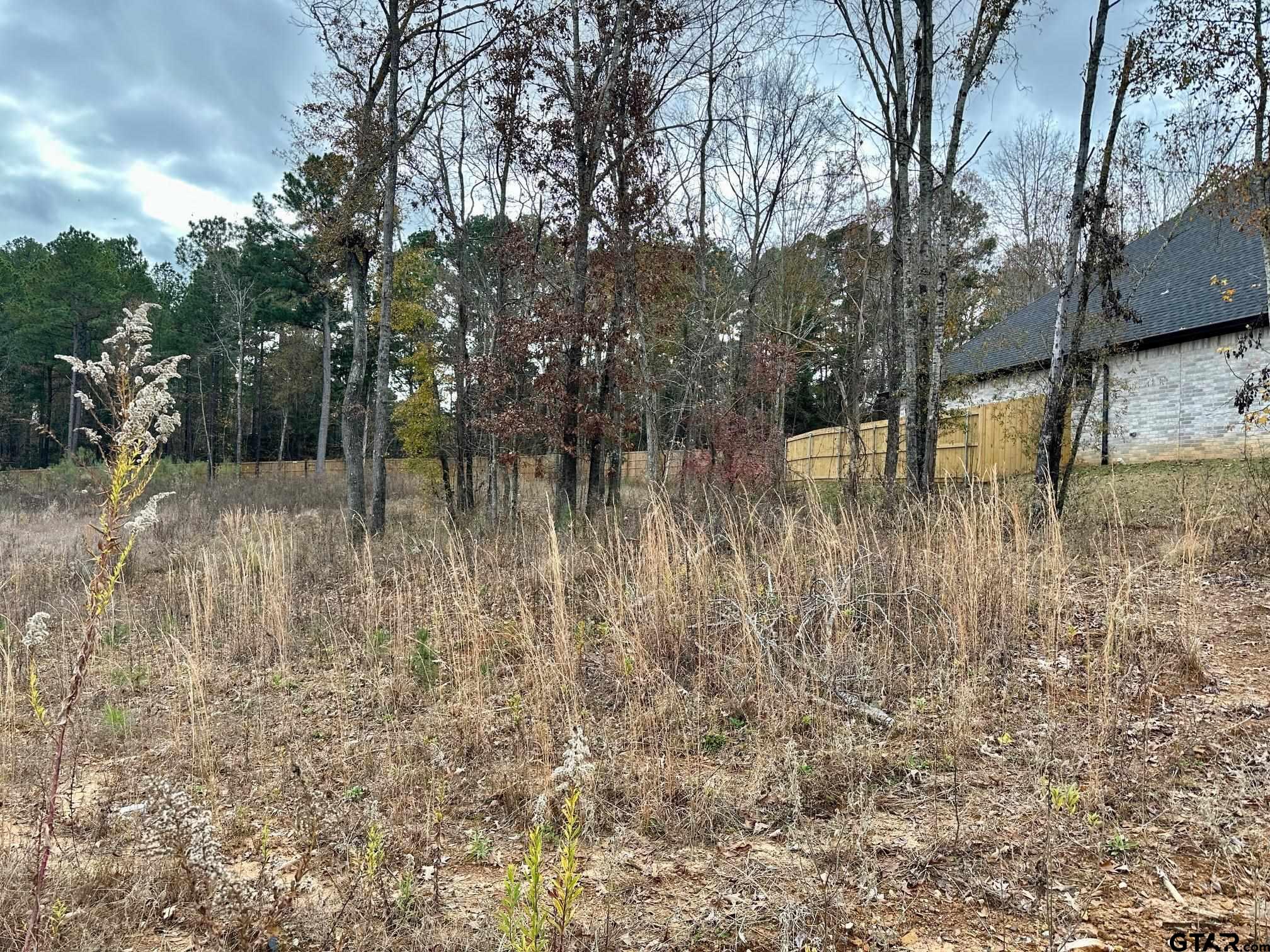 9291 Caddo Rdg Cove Tyler, TX 75703 - Photo 6 of 13 a view of a yard with large trees
