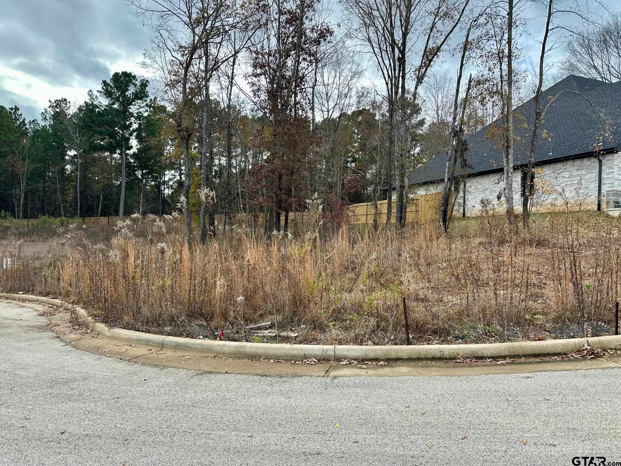 9291 Caddo Rdg Cove Tyler, TX 75703 - Photo 7 of 13 a view of a yard