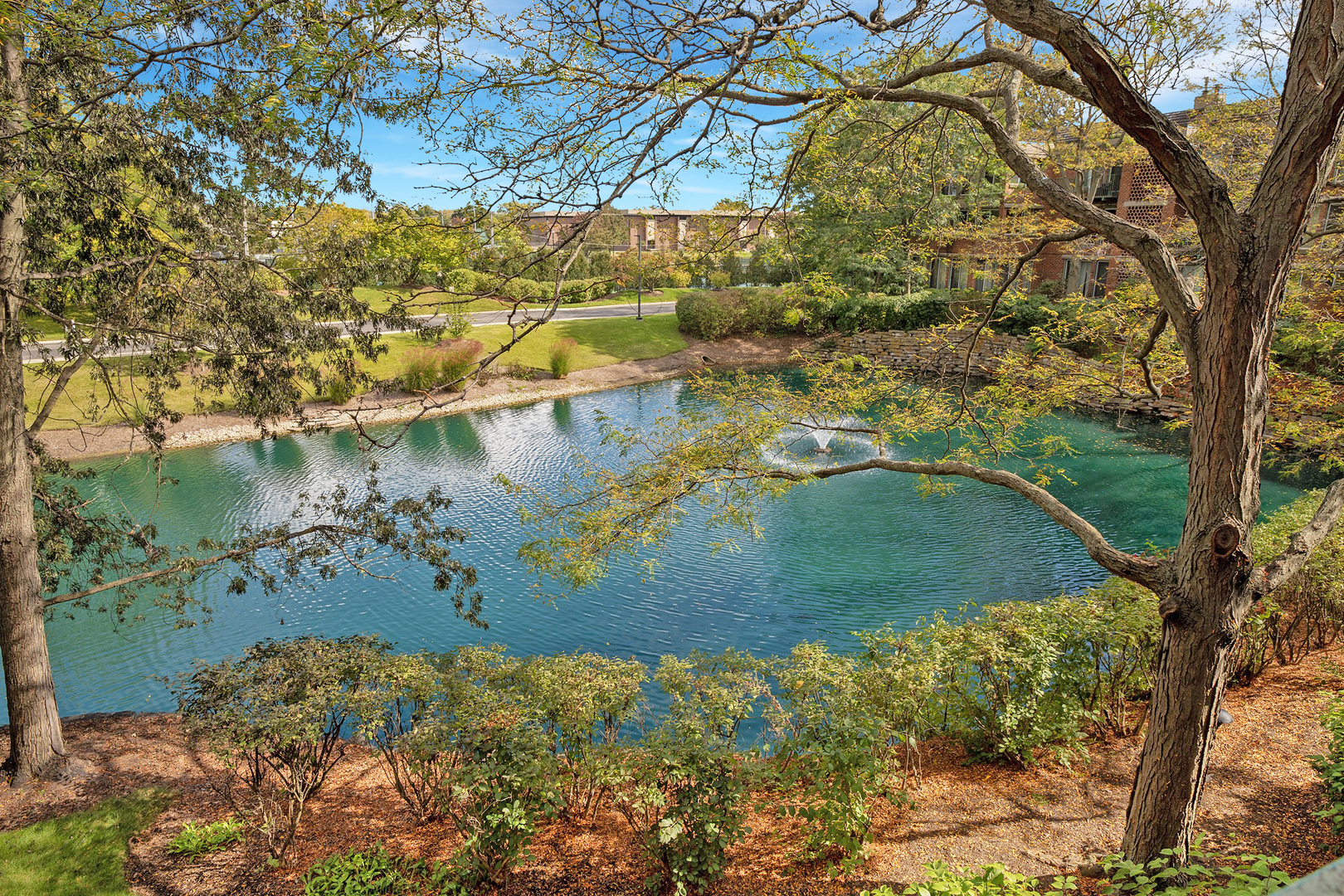 5020 Arbor Lane, Unit 203 Northfield, IL 60093 - Photo 19 of 19