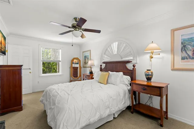 a house with a tree in front of it