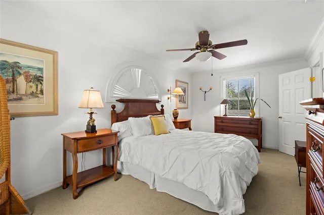 a view of a yard with plants and large trees