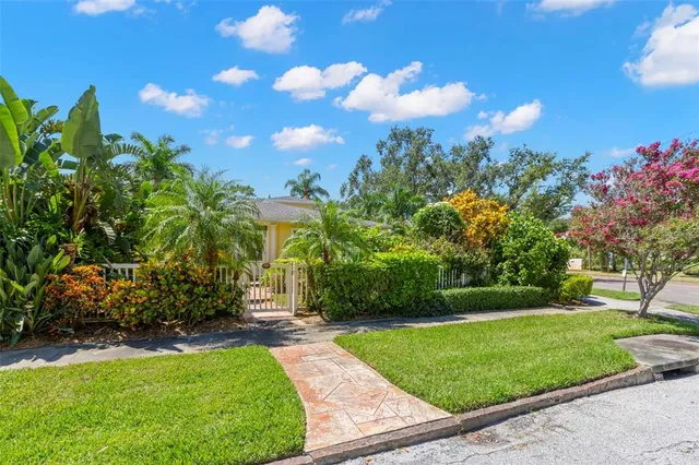 a view of a garden with plants