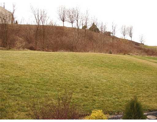 5003 Oak Point Drive McKees Rocks, PA 15136 - Photo 12 of 12 Yard/Garden.