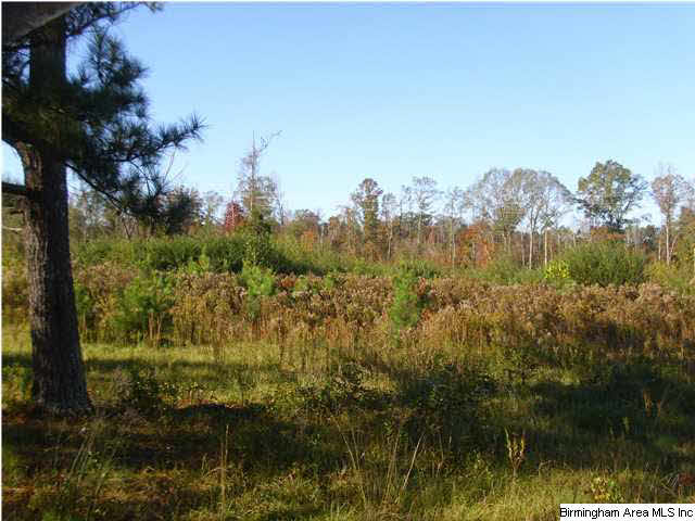 1148 County Road 418 Clanton, AL 35045 - Photo 7 of 10