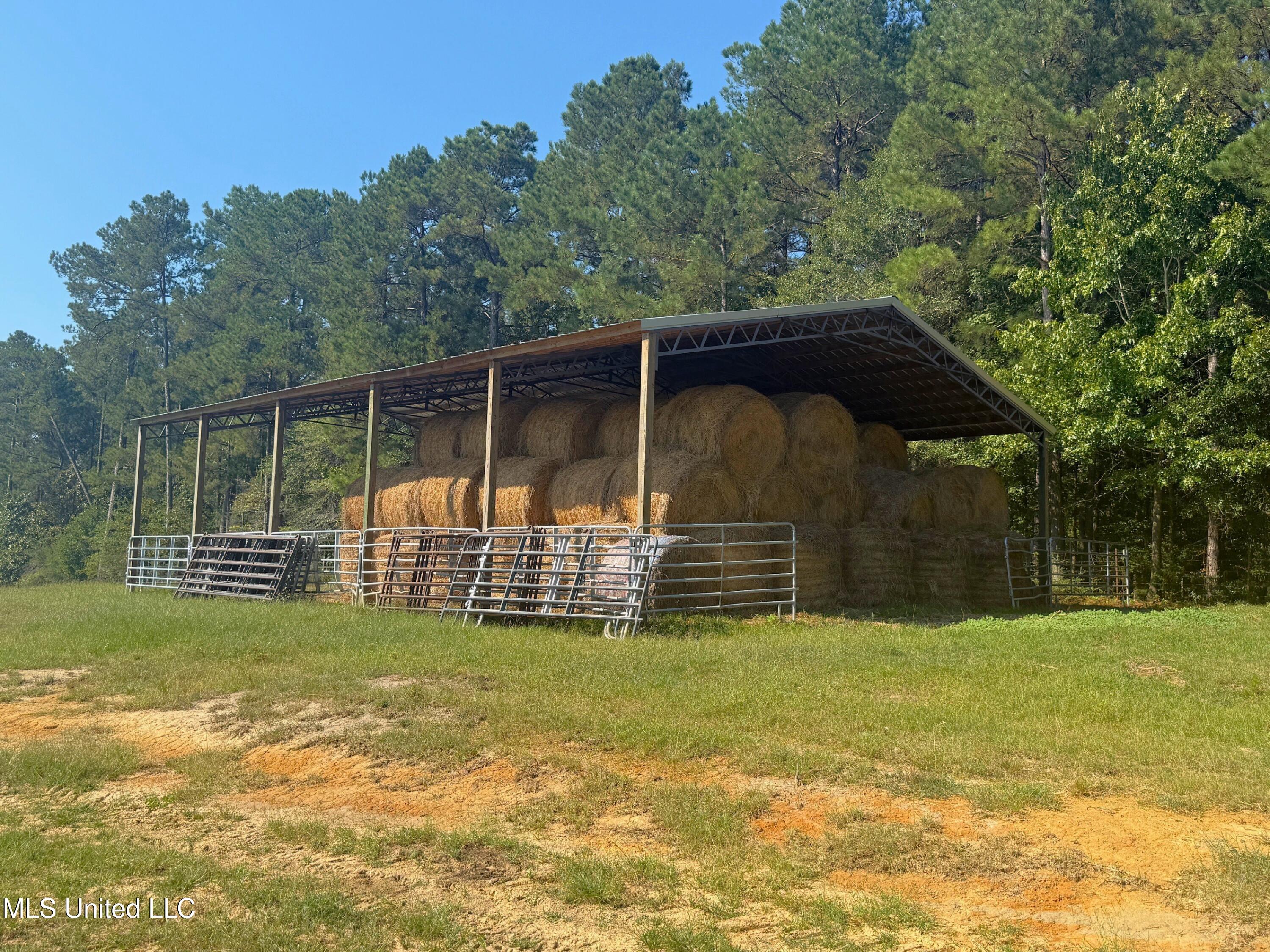 Gibson Road McComb, MS 39648 - Photo 4 of 13 IMG_2405