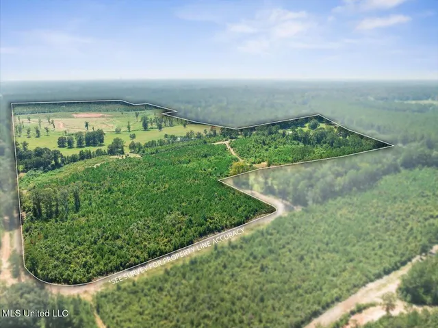 $458,200 | Gibson Road, McComb, MS 39648
