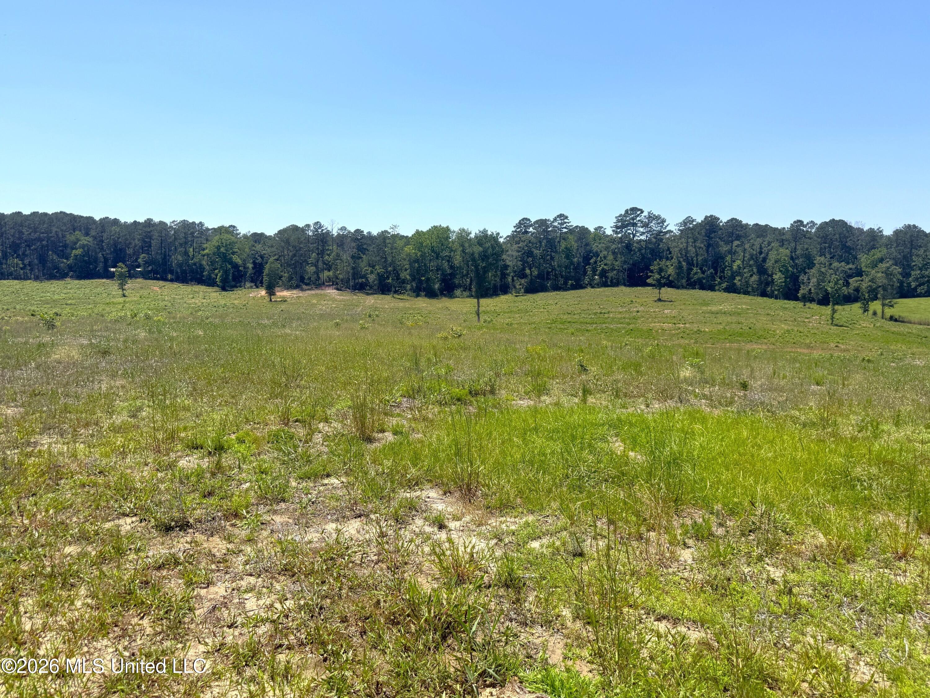 Gibson Road McComb, MS 39648 - Photo 8 of 16 IMG_3349
