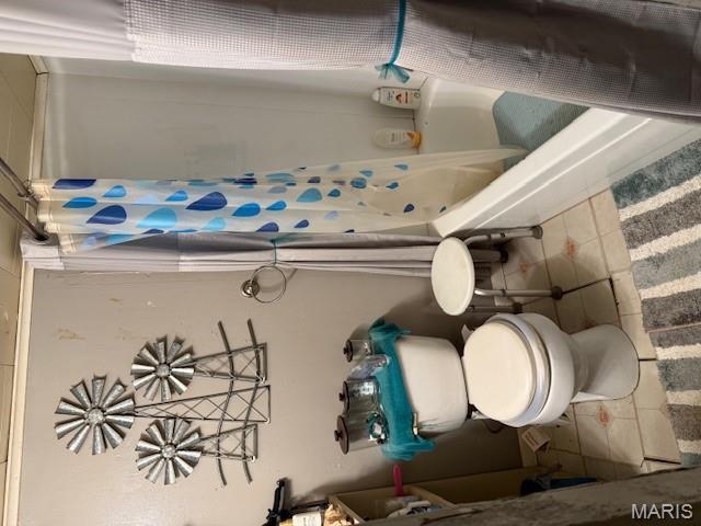 7532 Ripley Route Doniphan, MO 63935 - Photo 5 of 10