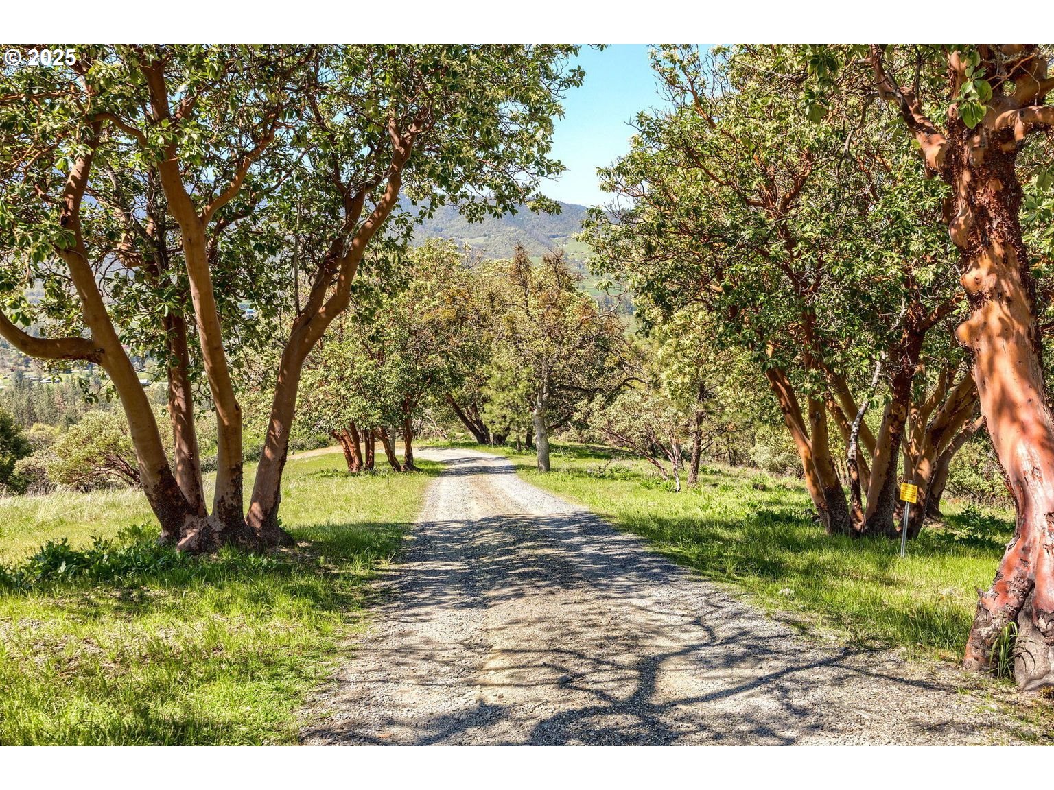 2816 Quail Run Road Talent, OR 97540 - Photo 2 of 43 a view of backyard with green space