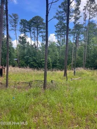 $45,000 | 1048 Pawnee Drive, Lincolnton, GA 30817