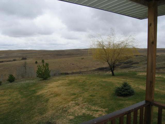 22901 West Euclid Road Reardan, WA 99029 - Photo 9 of 9 Gallery Image 9