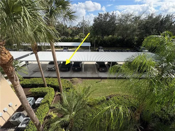 a view of a garden with plants