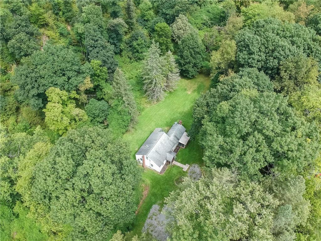 115 Chicora Road Butler, PA 16001 - Photo 4 of 10 a view of a house in a forest
