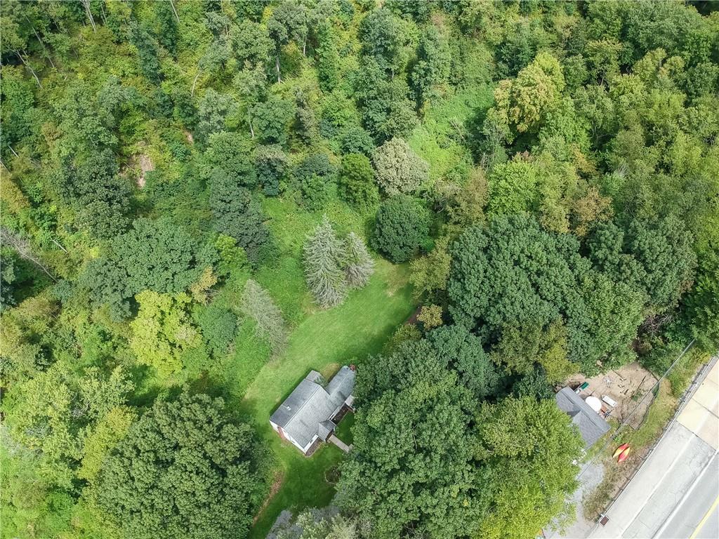 115 Chicora Road Butler, PA 16001 - Photo 7 of 10 a view of a house with a lush green forest