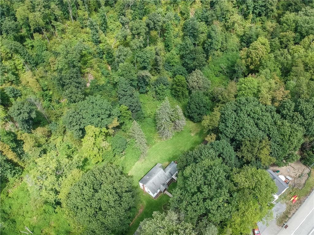 115 Chicora Road Butler, PA 16001 - Photo 8 of 10 a view of a forest with a street