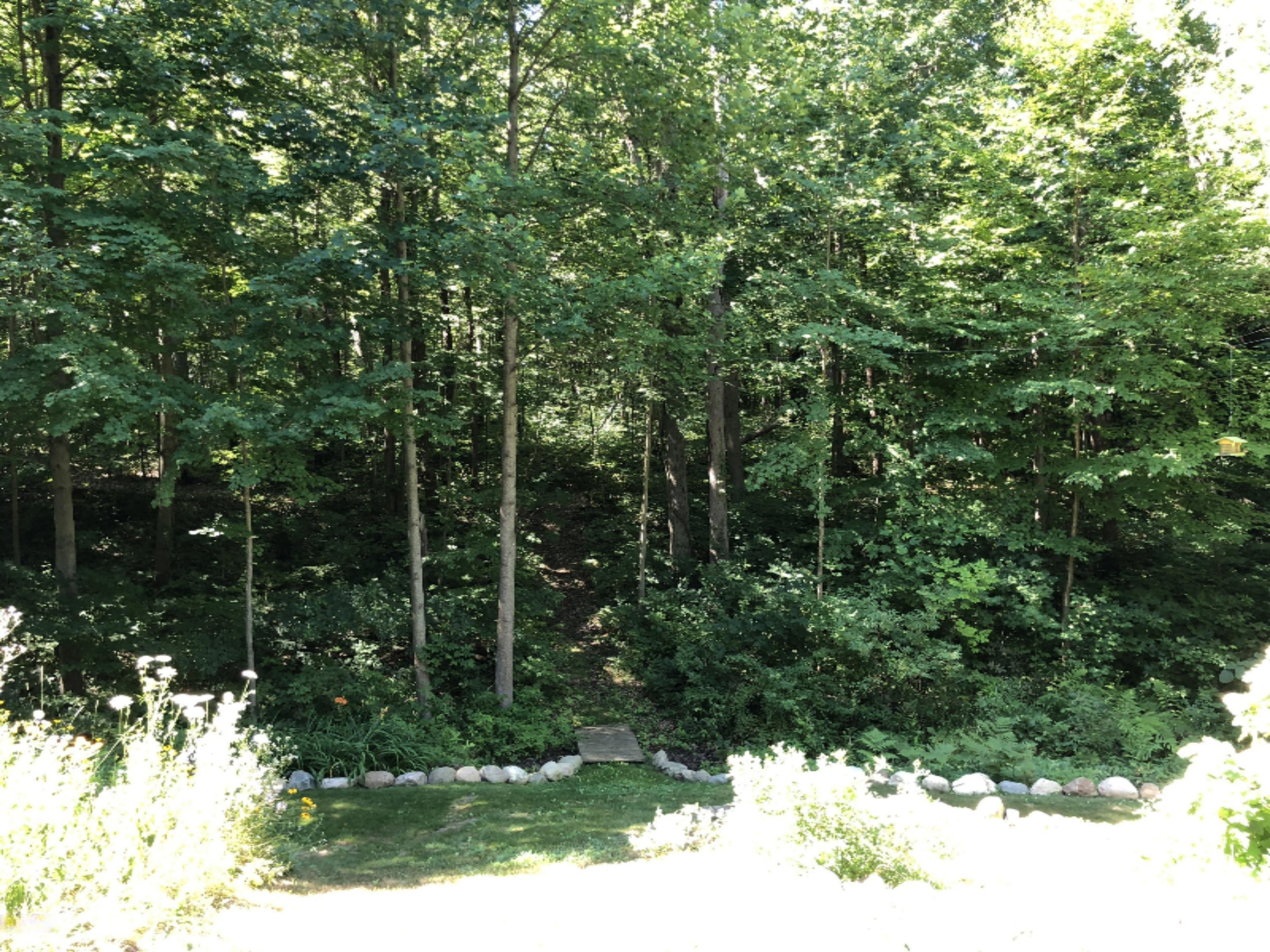 6342 Riverside Road Fennville, MI 49408 - Photo 53 of 70 IMG_3932