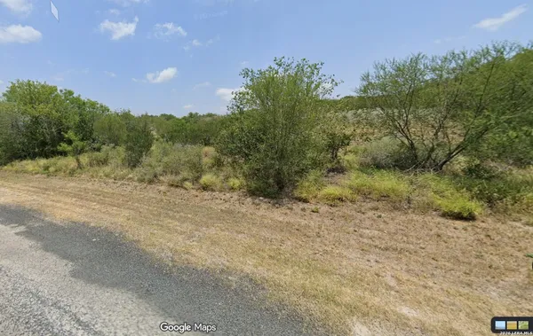 a view of a dry yard with trees