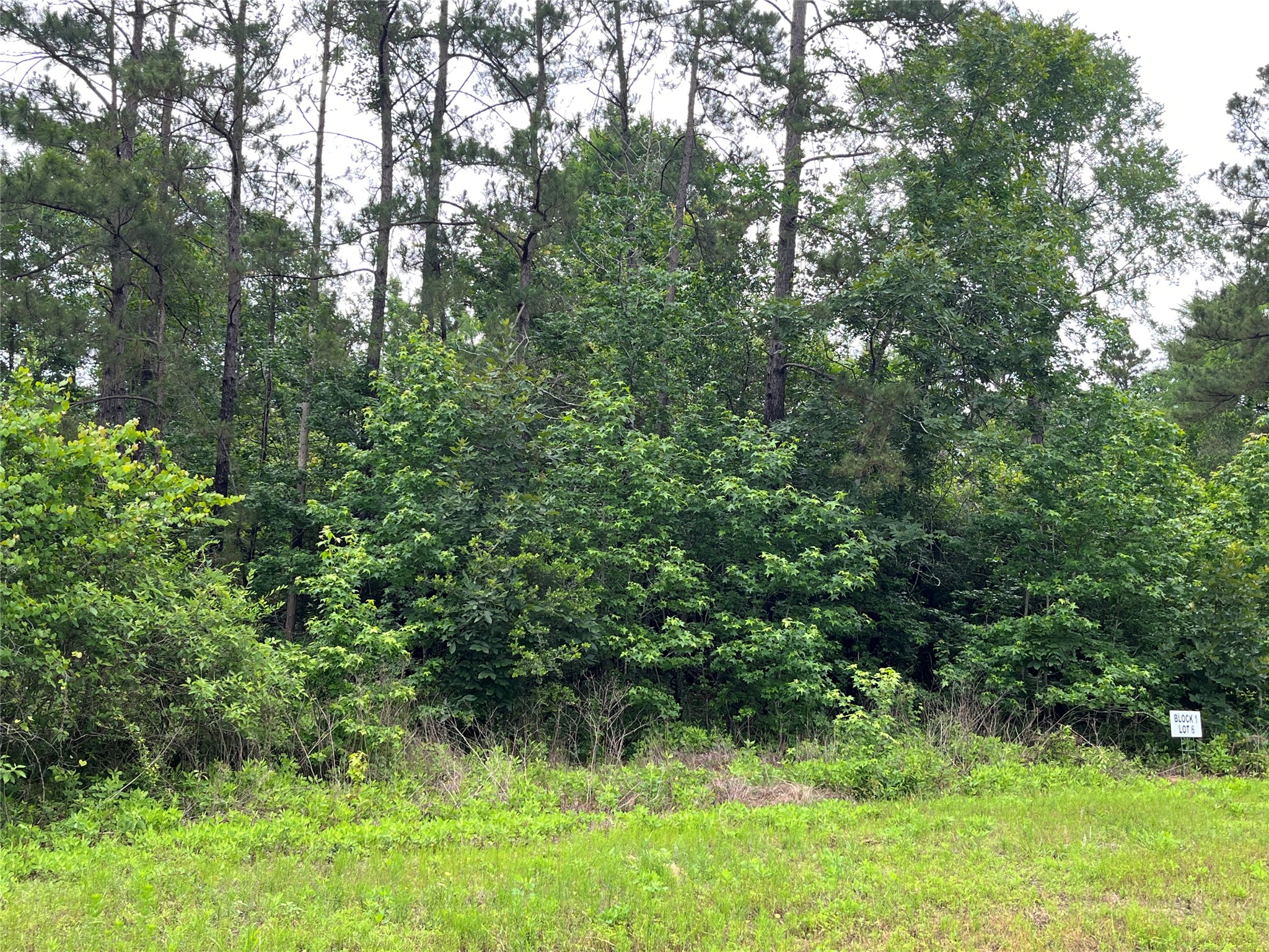 15841 Ridge Rock Road Willis, TX 77378 - Photo 5 of 9