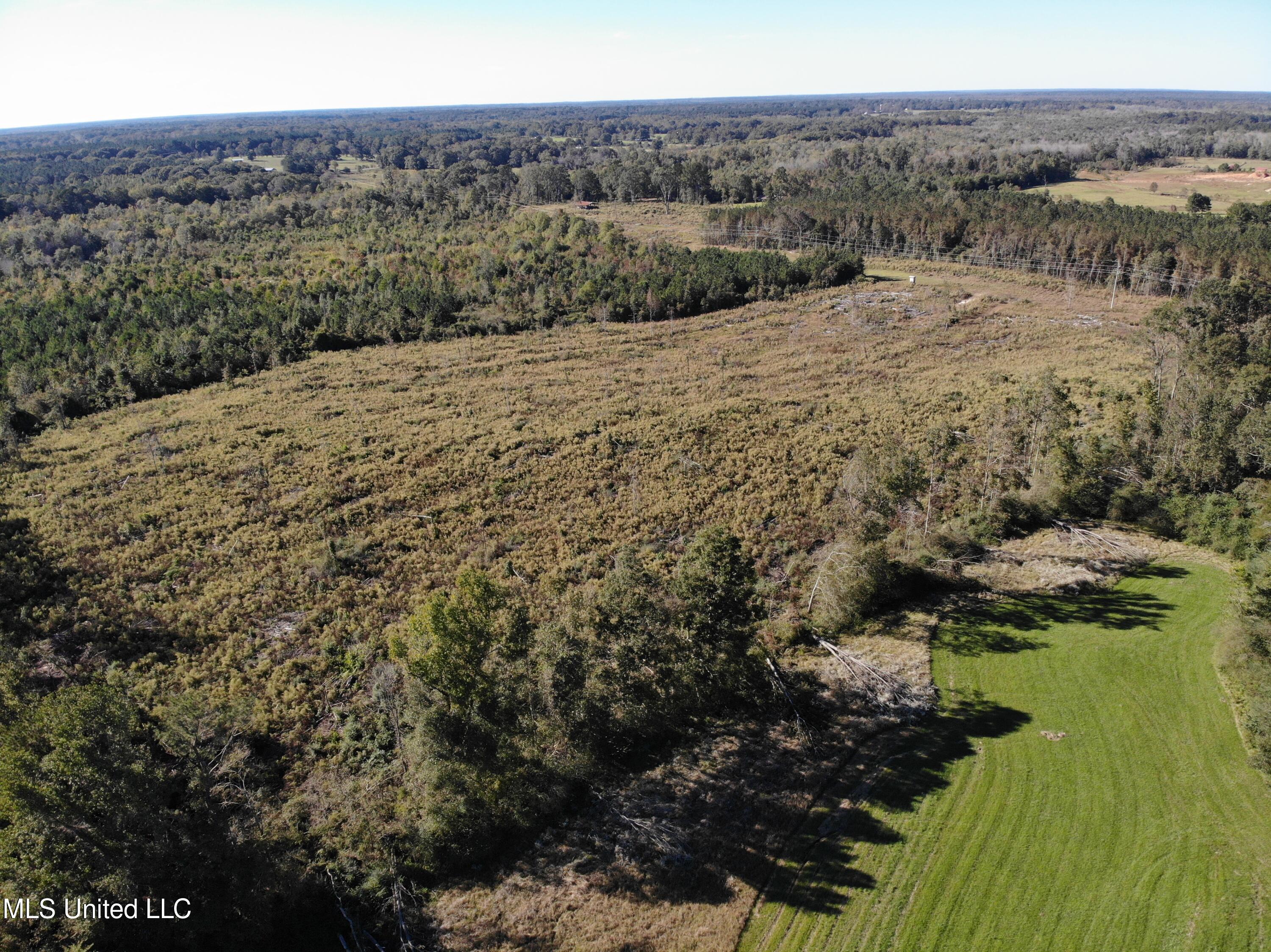 2926 Lawrence Hazel Road Lawrence, MS 39336 - Photo 1 of 1 sky view