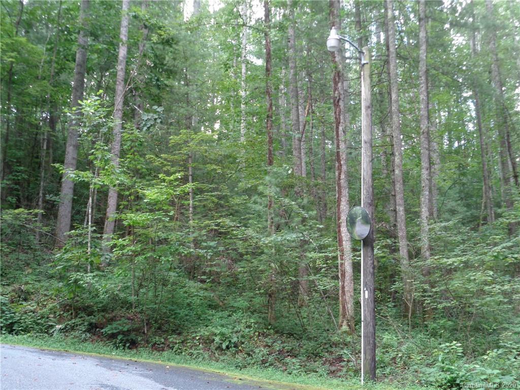 0 Spring Road, Unit 4R Hendersonville, NC 28739 - Photo 1 of 21