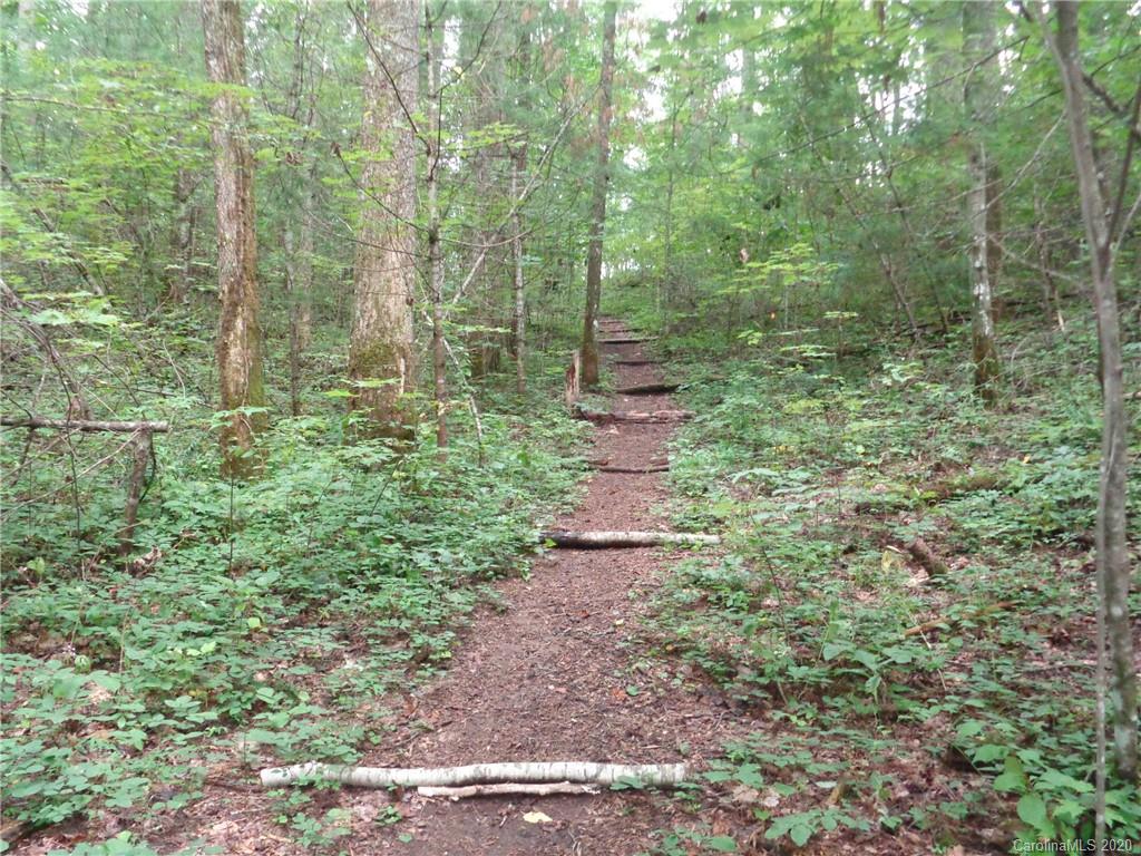 0 Spring Road, Unit 4R Hendersonville, NC 28739 - Photo 3 of 21