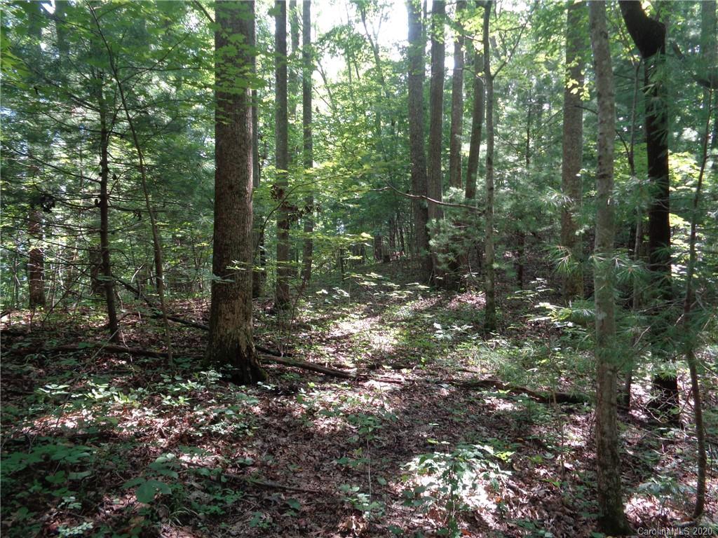 0 Spring Road, Unit 4R Hendersonville, NC 28739 - Photo 4 of 21