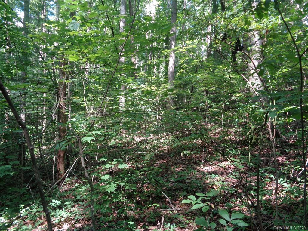 0 Spring Road, Unit 4R Hendersonville, NC 28739 - Photo 5 of 21