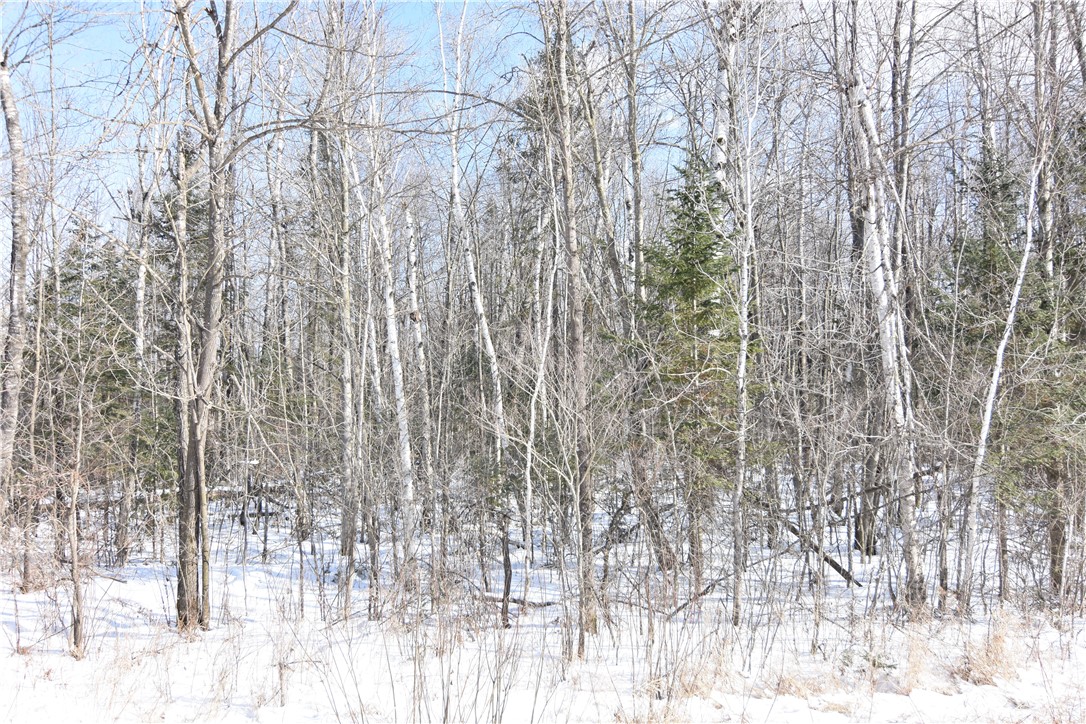 10-acres Range Line Road Glen Flora, WI 54526 - Photo 1 of 1 Gallery Image 1