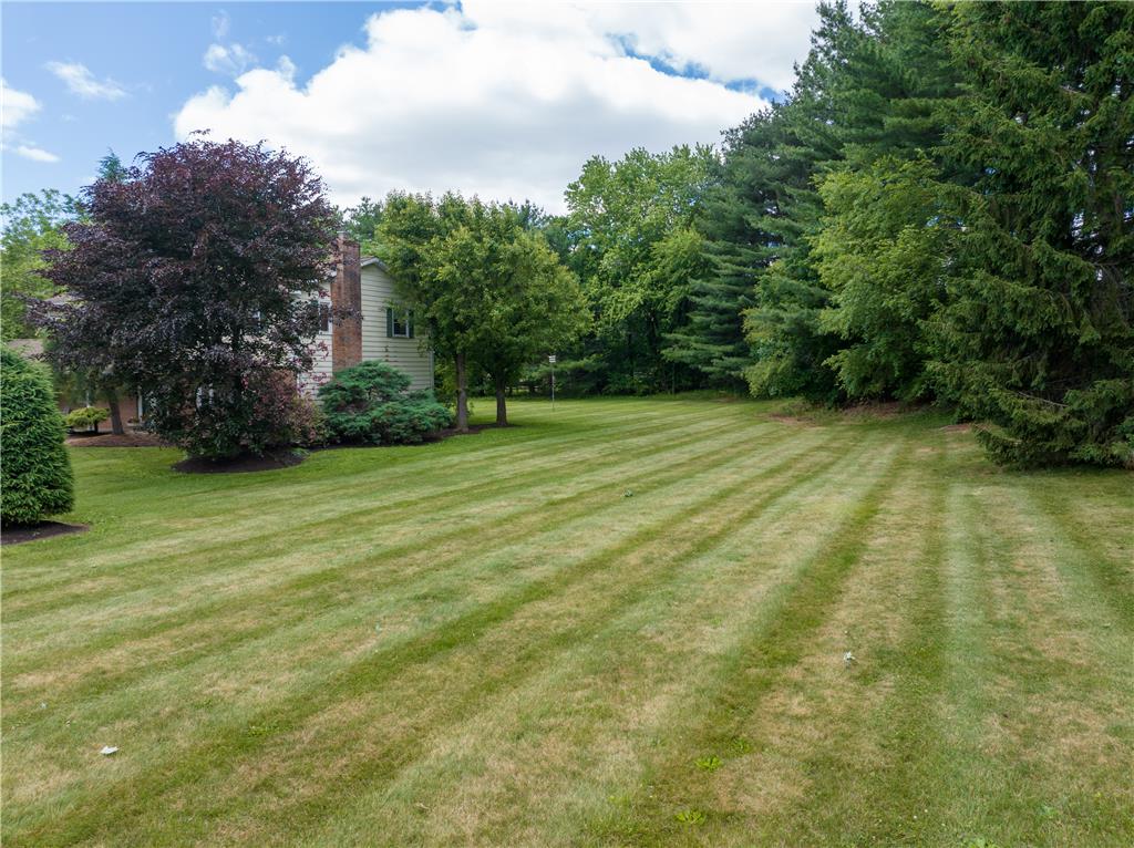 2516 Rachael Lane Orefield, PA 18069 - Photo 37 of 45 A generous backyard bordered by mature trees offers ample space for outdoor enjoyment.