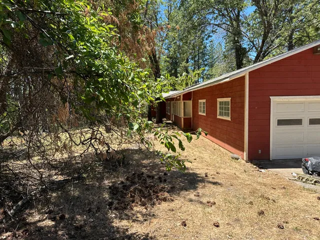 a view of a backyard with large trees and wooden fence