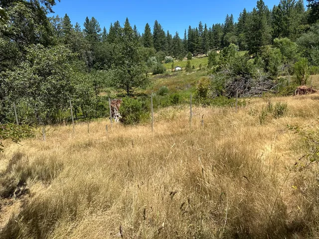 a view of a yard with a tree