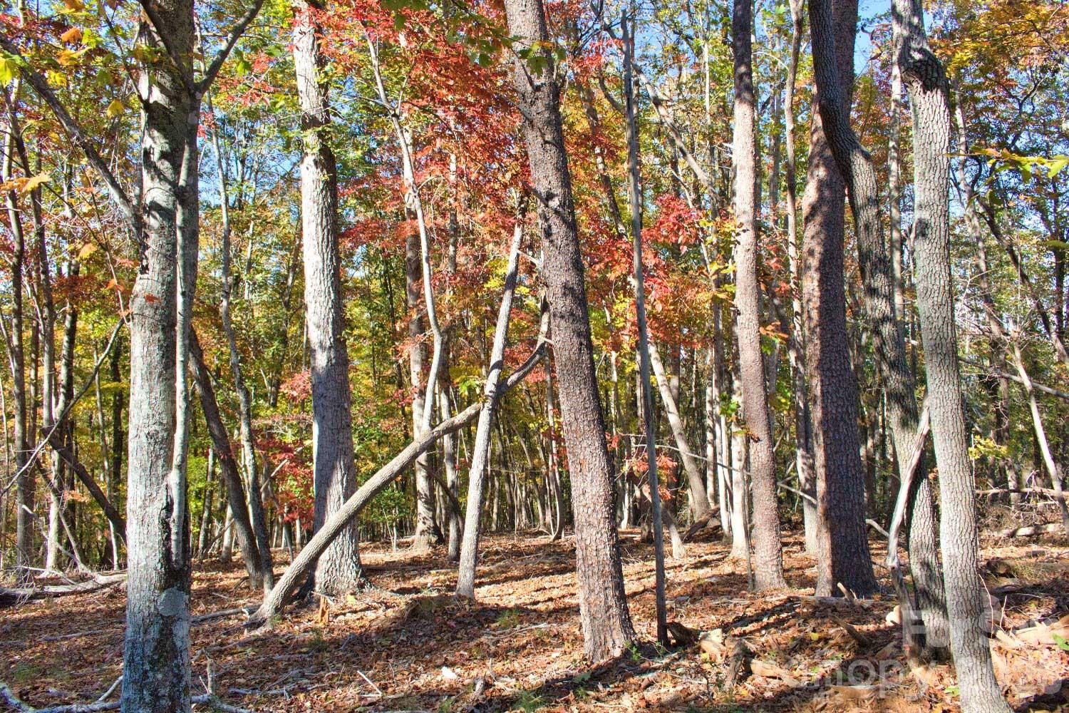 0 Wilderness Ridge, Unit 15 Rutherfordton, NC 28139 - Photo 3 of 3 Gallery Image 3
