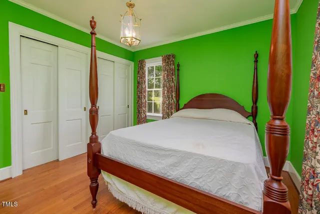 a view of a garden with plants and large trees