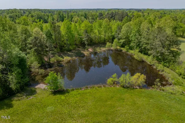 a view of a field with an ocean